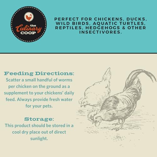 Fluker's Culinary Coop Premium Chicken Treats, Dried Insect Trail Mix, 20 oz