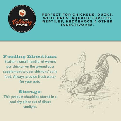 Fluker's Culinary Coop Premium Chicken Treats, Dried Insect Trail Mix, 20 oz