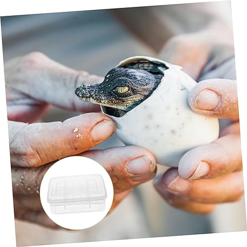 UPKOCH 2pcs Reptile Breeding Box with Compartments Transparent Incubator for Tortoise Lizard Easy to Clean Reusable Hatchery Boxes for Reptile Egg Hatching