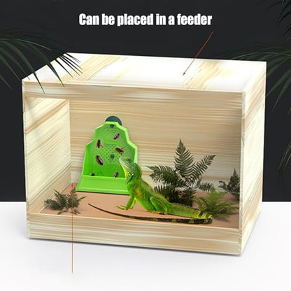 Reptile Food Bowl - Gecko Food Feeding Dish - Hunting Bowl, Anti-Escape Feeder for Snake Frog Tortoise Bearded Dragon Spider Amphibian