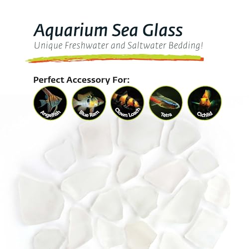 Galapagos (05132) Aquarium Sea Glass – Tumbled Decorative Glass for Aquariums, Terrariums, Crafts, Vases, and Home Decor, 4 lb Bag, Frosted White | Tumbled Decorative Glass for Aquariums, Terrariums, Crafts, Vases, and Home Decor, 05132