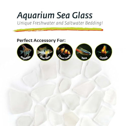 Galapagos (05132) Aquarium Sea Glass – Tumbled Decorative Glass for Aquariums, Terrariums, Crafts, Vases, and Home Decor, 4 lb Bag, Frosted White | Tumbled Decorative Glass for Aquariums, Terrariums, Crafts, Vases, and Home Decor, 05132
