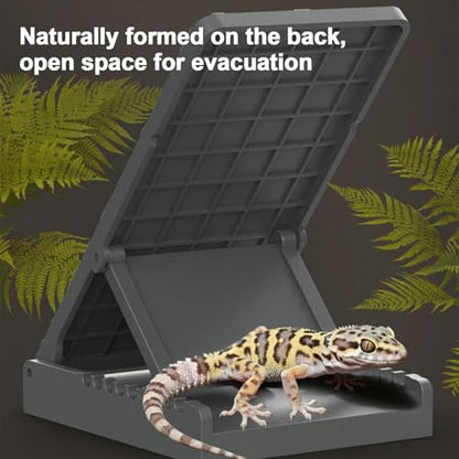 Reptile Climbing Ramp Height Adjustable Foldable Non-Slip | Bearded Dragons Climbing Step Ramp for Lizard Keepers Enclosure Vivarium Tank Frogs Geckos Chameleons Newts Snakes Tortoise - color: Gray