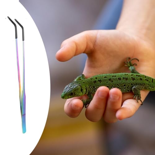 Reptile Feeding Tongs Stainless Steel Silicone Tip Aquarium Tweezers Terrarium Clamp Feeder Tool Water Grass Clip Suitable for Fish Tank Small, Curved - color: Curved