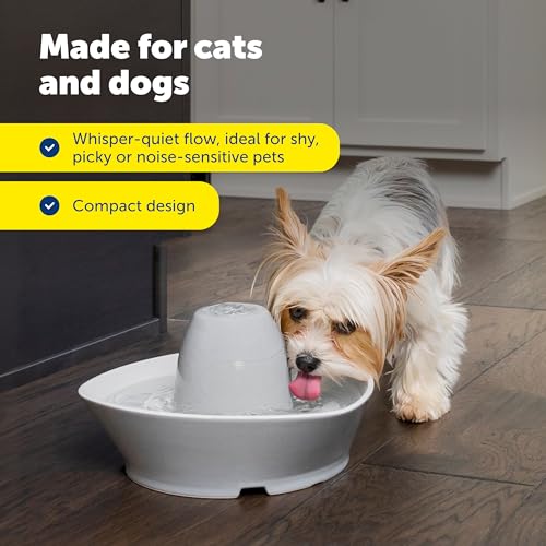 PetSafe Creekside Ceramic Pet Fountain, 60 Oz, 4-Pack Carbon Filters | 60 Oz Capacity, Whisper-Quiet Flow, Includes Carbon Filters, Top-Rack Dishwasher Safe - style: Fountain + 4 Carbon Filters