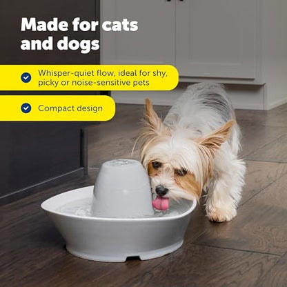 PetSafe Creekside Ceramic Pet Fountain, 60 Oz, 4-Pack Carbon Filters | 60 Oz Capacity, Whisper-Quiet Flow, Includes Carbon Filters, Top-Rack Dishwasher Safe - style: Fountain + 4 Carbon Filters