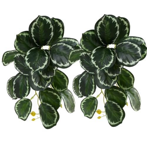 Reptile Plants for Terrarium,Reptile Tank Decor,Artificial Plant | Fake Plant for Ball Python Gecko Bearded Dragon Snake,Hanging Plants with Suction Cup,Amphibian Habitat Decor-2 Pack - color: (Calathea Makoyana