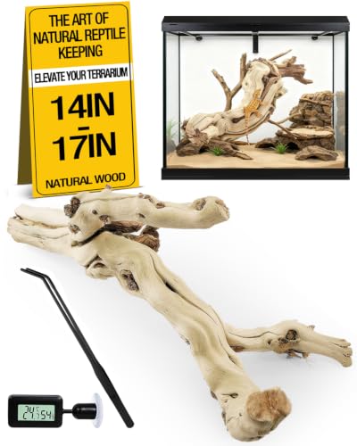 3Pcs Bearded Dragon Wood Branch, Large 14-17 Inch Reptile Wood Logs for ClimbingTerrarium Habitat Decor for Geckos, Chameleons, Frogs & Spiders (Upgrade the Thermometer) - size: Upgrade the thermometer