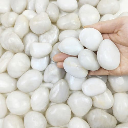 FANTIAN 20 lbs White River Rocks, 1-2 Inch Polished Pebbles for Indoor Plants, Decorative White Stones for Plants, Vase, Aquarium, Fish Tank, Landscaping and Garden - size: 1-2 Inch, style: 20 Pounds