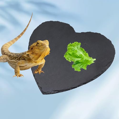 Reptile Basking Platform, 7.9 × 7.9 inch Tortoise Rock Plate, Heart Shape Natural Rock Reptile Food Dish, Turtle Feeding Bowl, Habitat Decor for Bearded Dragon Chameleon Frog Lizard Gecko Hermit Crab - size: S- 8 × 8 inch