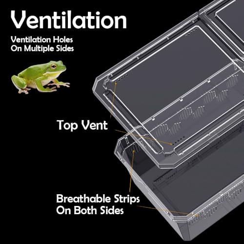 6 Pack Turtle Tank Breeding Box Horned Frog Plastic Portable Feeding Container for Small Reptile Amphibian Horned Frog Turtle Tortoise