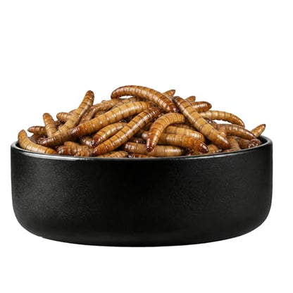 2 Pack Gourmet Canned Superworms for Reptiles & Exotic Pets, Healthy High Protein Pet Treats, Supe Worms for Lizards, Reptiles, Birds, Fish, Hedgehogs etc, 5.5 oz Total