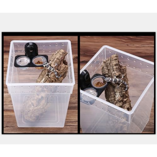 YARNOW Reptile Feeding Box for Lizards and Spiders Lightweight Pp Material with Ventilated Design Suitable for Feeding and Temporary Quarantine Zone