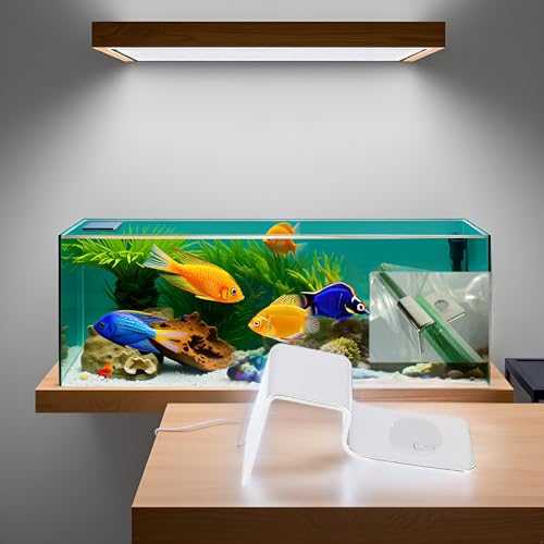 4Pcs Fish Glass Cover Clip, Stainless Steel Aquarium Glass Cover Support Bracket Holders Universal Lid Clips for Rimless Aquarium(8mm) - color: 8mm