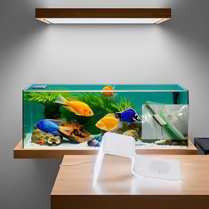 4Pcs Fish Glass Cover Clip, Stainless Steel Aquarium Glass Cover Support Bracket Holders Universal Lid Clips for Rimless Aquarium(8mm) - color: 8mm