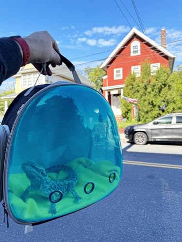Bearded Dragon Travel Backpack with Harness and Leash Set,Lizard Backpack Travel Carrier,Space Capsule Clear Bubble Window Astronaut Reptile Carrier Backpack, Airline Approved - color: Black/Blue