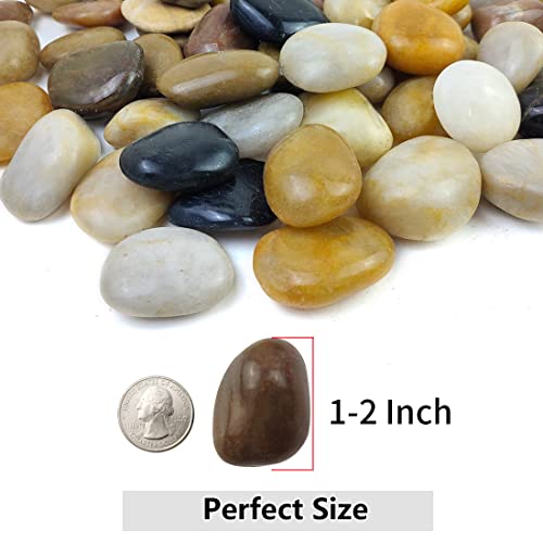10lbs Pebbles for Indoor Plants, 1-2 Inch Mixed Color High Polished River Rocks Outdoor Decorative Stones Vase Filler Fish Tank Aquariums Landscaping Garden Outdoor and Indoor DIY - color: Mixed Color, size: 10 Pounds