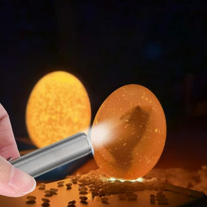 VOSAREA Led Egg Candler Portable Incubator Egg Tester Light for Chicken Duck Bird Eggs Embryo Development Monitoring Cold Light Inspection Tool