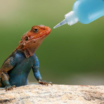 3 Pcs Crested Gecko Food and Water Feeding Bottle, Crested Gecko Feeding Ledge for Chameleon Lizard Turtles Crabs and Other Small Pet Enclosures - 3.4 Oz