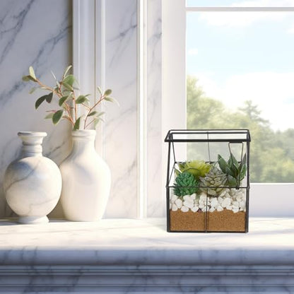 2 Pcs Mini Glass Terrarium Planter with Lid 5 x 4.3 x 4.3'' Small Greenhouse Terrarium Jar Glass Container Pot Tabletop Succulent Small Cacti Air Plant Planter for Indoor Home Garden Office Decor