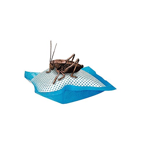 Zilla Reptile Food Cricket Water Pillows, 6-Pack - size: 6 Count (Pack of 1)