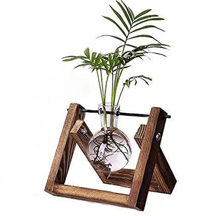 Kingbuy Plant Propagation Station Bulb Vase, 1 Bulb Vase | Air Plant Terrarium, Wooden Swivel Holder, Desktop Glass Planter, For Indoor Water Plants - size: 1 Bulb Vase