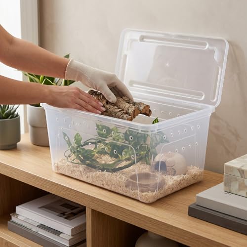 Luocute 2PCS Reptile Feeding Box, Transparent Portable Plastic Reptiles Breeding Enclosure Transport Container for Bearded Dragon Lizard Spider (L)