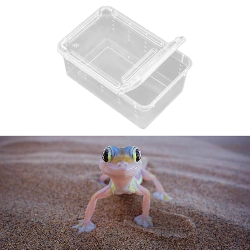 Reptile Feeding Box,Transparent Terrarium Habitat Cage Breeding Box Hatching Container for Gecko Animal Cricket Lizard, Style B - size: Style B