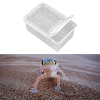 Reptile Feeding Box, Breeding Box, Transport Box, Portable Transparent Terrarium, Habitat Cage, Container for Frogs, Style B - size: Style B