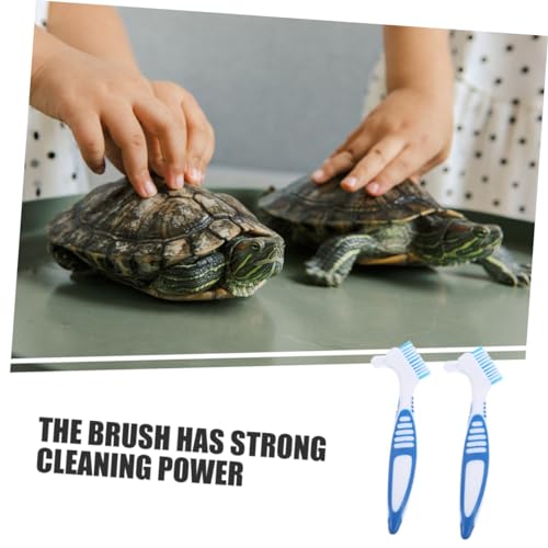 BESPORTBLE 3pcs Turtle Shell Cleaning Brush for Aquatic Turtle Tank Reptile Hides Reptile Accessories - color: Sky-blue