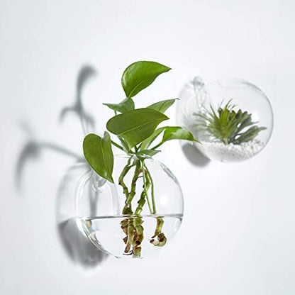 Wall Hanging Planters Terrarium Glass Air Plant Holder Pots for Plants