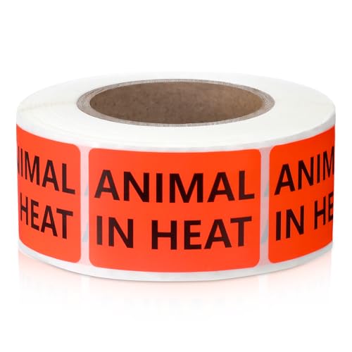 500 Pcs Animal in Heat Veterinary Labels, Fluorescent Orange-Red | 1 x 1.5 Inch, Pet Care Instruction Stickers, for Animal Clinics, Shelters, Pet Stores, Party Rave - size: 1 x 1.5 Inch, style: Animal in Heat