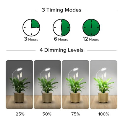 SANSI Grow Lights for Indoor Plants, Pot Clip-On Plant Lights, 10W 2-Pack | Plant Lights for Indoor Growing, Full Spectrum LED Grow Lights, 4-Level Dimmable, 3/6/12H Timer,4000K - size: 2-Pack
