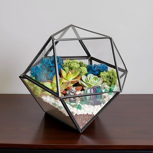 Creations by Nathalie DIY Geometric Glass Terrarium Kit with Live Plant | DIY geometric glass terrarium kit with live plant, moss, and tools for creating indoor terrarium displays with your plants. - color: Dodecahedron Black Frame