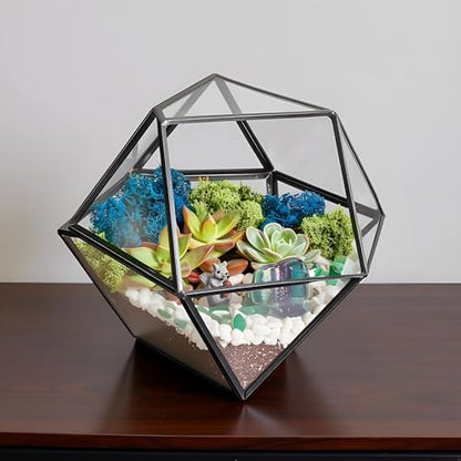 Creations by Nathalie DIY Geometric Glass Terrarium Kit with Live Plant | DIY geometric glass terrarium kit with live plant, moss, and tools for creating indoor terrarium displays with your plants. - color: Dodecahedron Black Frame
