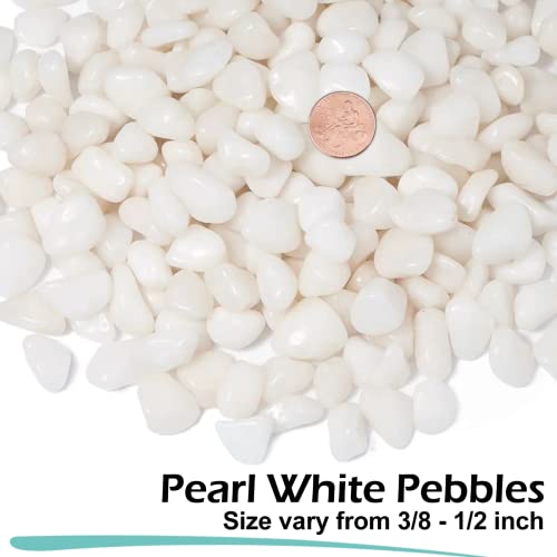 GASPRO 2.5 lb Highly Polished White Pebbles & Stones - 3/8" Small Decorative Rocks for Indoor Plants, Succulents, Vases, Terrariums & Home Decor - color: White, size: 2.5 Pounds