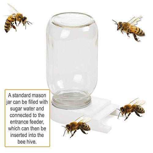 2 Pack Plastic Bee Feeder Entrance Feeder with Lids, Minelife Beehive Feeder Beekeeper Tool Beekeeping Equipment Fits Most Small Mouth Canning Feeder and Waterer