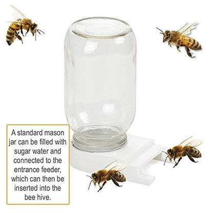 2 Pack Plastic Bee Feeder Entrance Feeder with Lids, Minelife Beehive Feeder Beekeeper Tool Beekeeping Equipment Fits Most Small Mouth Canning Feeder and Waterer
