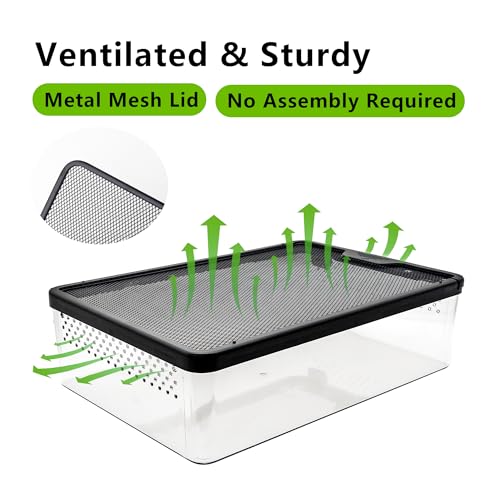 Plastic Reptile Terrarium 12.6" x 8.7" x 3.9" | Clear Viewing Easy Observation Idea for Feeding, Breeding, Quarantine