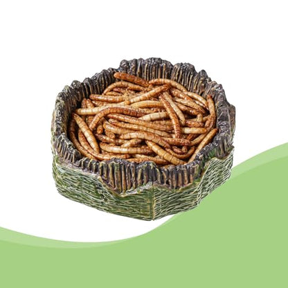 Small Reptile Food Dish, 2 PCS Reptile Water Dish Food Bowl Reptiles Feeding Foods Resin Terrarium Bowl for Bearded Dragon Gecko Frog Snake Chameleon Tortoise
