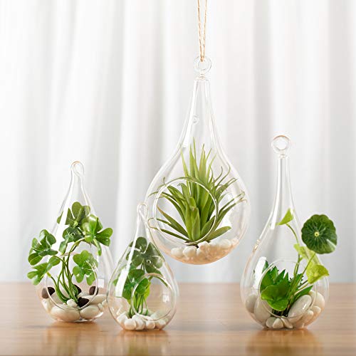 WGVI WGV Glass Hanging Plant Terrarium, Width 4.75", Height 9.5", Teardrop Pear DIY Air Succulent Planter Clear Tea Light Votive Candle Holder, Wedding Event Office Home Outdoor Decor, 1 Piece - size: Pear