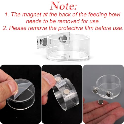 Jumping Spider Feeding Dish Set, Magnetic Water Bowl Dispenser Feeding Food Dish with Reptile Tweezers Jumping Spider Enclosure Accessories Kit for Tarantula Mantis Small Reptiles Pets