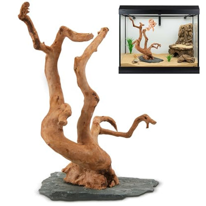 AceOrbit Large Driftwood for Aquarium, 8.5-11.5 Inch Spider Wood on Slate Stone, Natural Spiderwood Aquarium Driftwood Aquascaping Wood for Reptile Enclosure, Terrarium, Reptile Tank, Fish Tank Decor