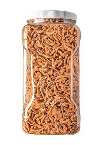 Krill-Freeze Dried Floating Arctic Krill, High in Natural Astaxanthin for Color for All Tropical Fish, Koi, Turtles, Reptiles, Rodents, Cats…4oz Med Jar - size: 4 Ounce (Pack of 1)