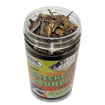 Cricket Crunch (1.6 oz) - All Natural Healthy High Protein Insect Treat - Chickens, Birds, Hedgehogs, Bluebirds, Reptiles, Sugar Gliders, Opossums, Skunks, Lizards, Fish, Turtles, Amphibians (1.6 oz)