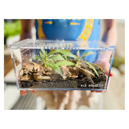 THE MASONRY | Isopod Terrarium Starter Kit | Roly Poly Farm Kit with Acrylic Terrarium and Container Accessories Including Leaf Litter Substrate, Soil Base, Moss, Calcium | Bug Terrarium Kit