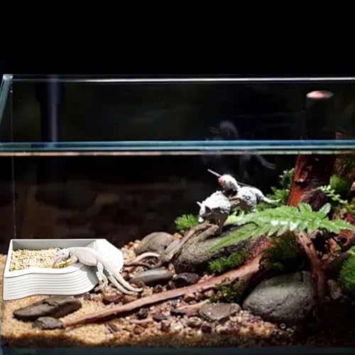 4 Pcs Turtle Water Basin with Ramp, Reptile Pool and Water Bowl Set,Turtle Bathing Pool with Leaf Food Basins and Tweezers,Turtles Soaking Tray,Aquarium Waters Tray for Amphibia