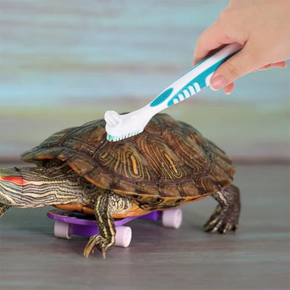 VICASKY 3pcs Turtle Cleaning Brush Set for Aquatic and Land Tortoises, Sturdy Bristle Shell Mud Remover Brushes, Reusable Turtle Shell Scrubbing Tool for Reptile Care and Tank Maintenance