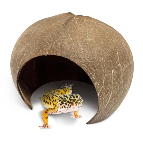 PINVNBY Large Natural Coconut Reptile Hideouts Lizard, Coco Hut Hermit Crab Hut Aquarium Fish Hide Cave for Small Reptile Crested Gecko Leopard Gecko Spider Snail Climber Toys - size: Extra Large Size, 1 PCS