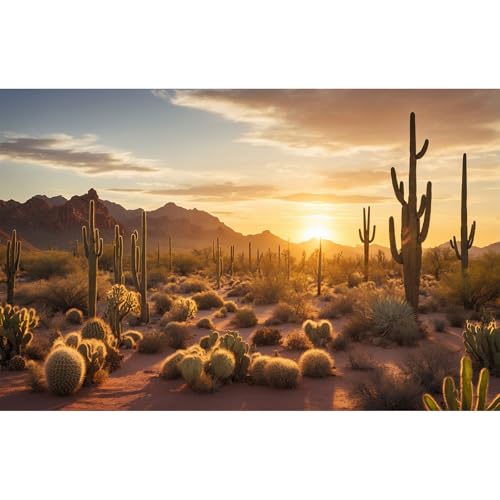 Sunset Desert Reptile Habitat Background Silhouette of Saguaro Cactus Arid Mountain Range Terrarium Background Cacti Sand with Dunes Aquarium Background Desert Mountain Fish Tank Background 24x16in - color: Cactus Orange, size: 24(W)x16(H)in